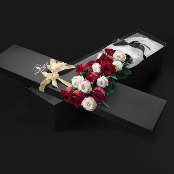 Classic Box Red&White