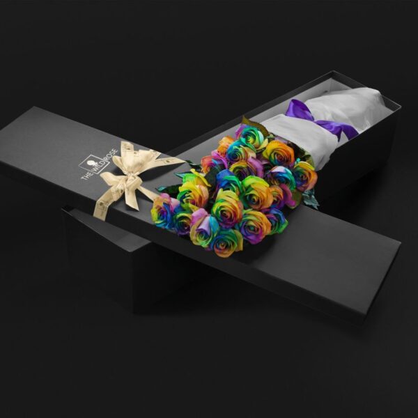 Classic Rainbow Black Box