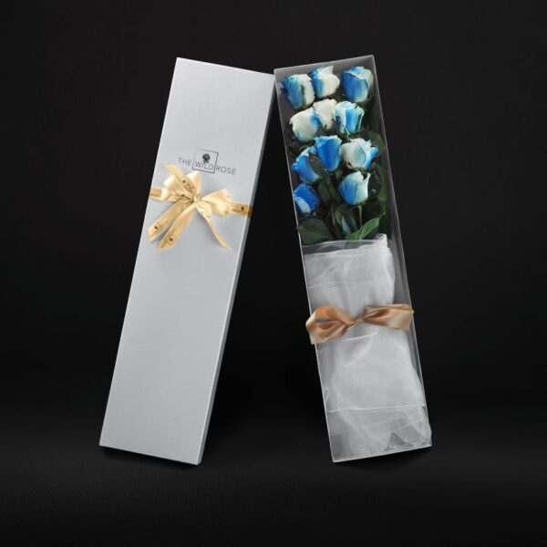 Classic Box Blue&White