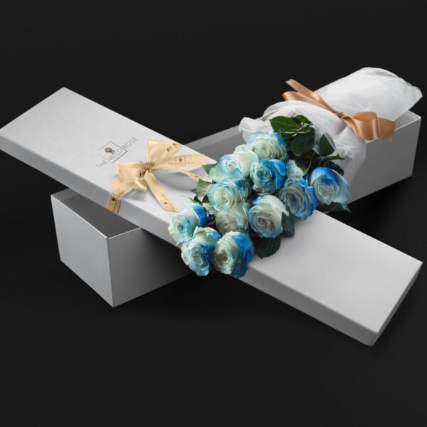 Classic Box Blue&White