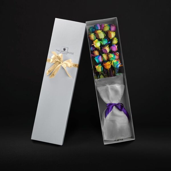 Classic Rainbow White Box