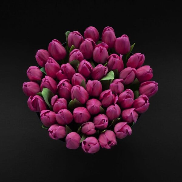 Premium tulips